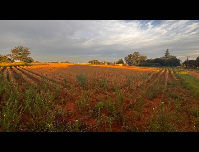 1.60HA VACANT LAND FOR SALE IN DROOGEFONTEIN